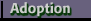 Adoption: Adopt A Pet, Red Alert Animals and RED Yearbook