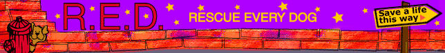 Save a life R.E.D. Alert Pets