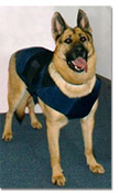 K-9 Officer Gan