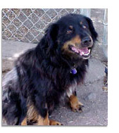 Photo of Griz