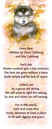 Every Face Poem
