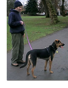 Banjo and Chris taking a walk