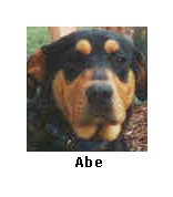 Abe