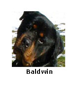 Baldwin
