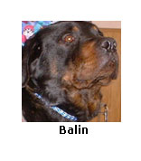 Balin