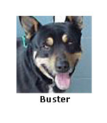 Buster