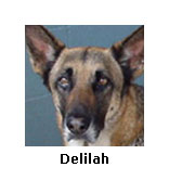 Deliah