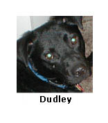 Dudley