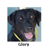 Glory