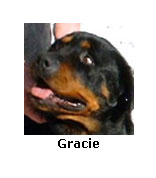 Gracie