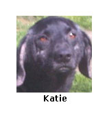 Katie