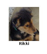 Rikki