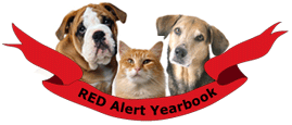 R.E.D. Success Yearbook 
